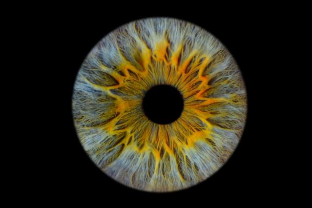 Photographier son Iris
