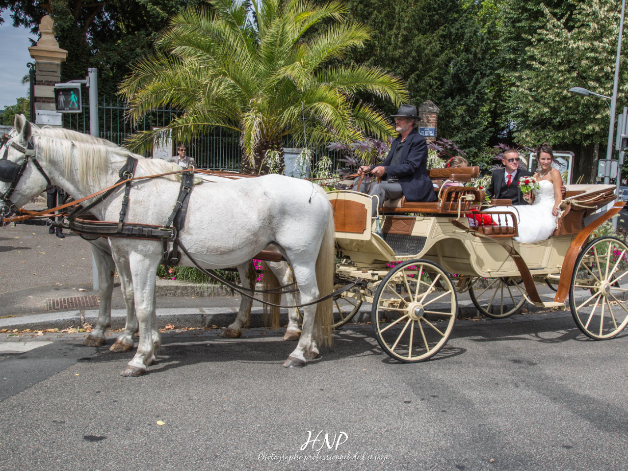 Photos de Mariage - Immortalier les plus beaux moments de ce jour exceptionnel 