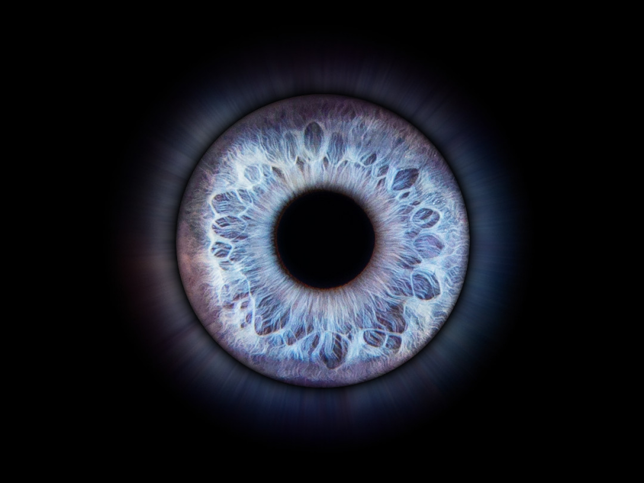 Capturons la beauté de vos iris : des clichés qui révèlent l'essence de vos yeux.
