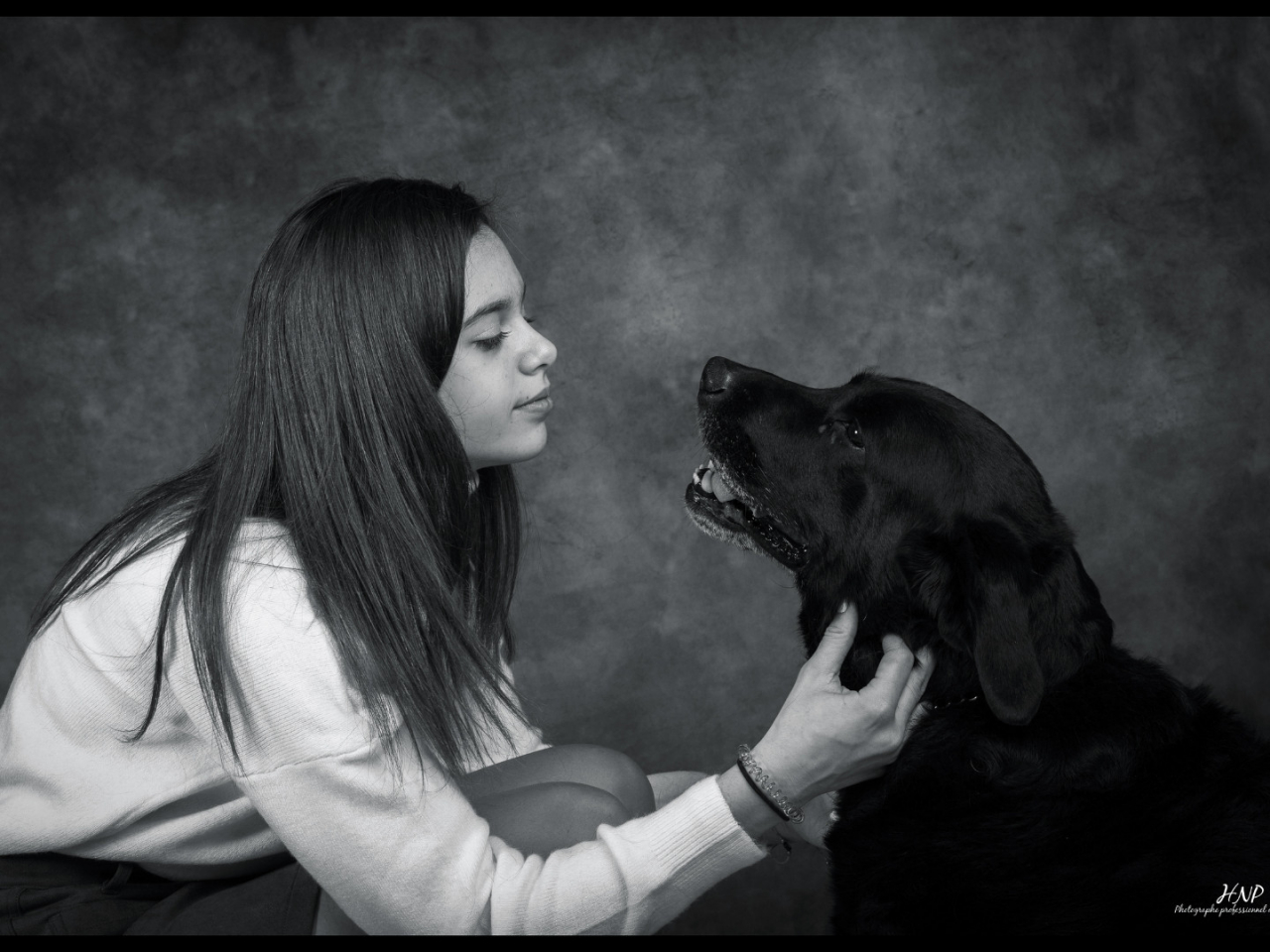 La séance photos canin en studio où la patience rime avec expérience