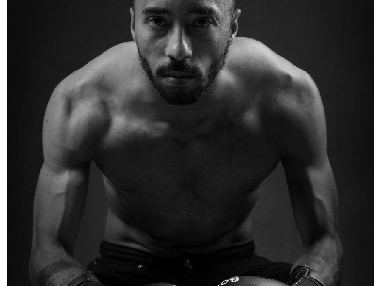 La Sportigraphie : l'art de sublimer les sportifs (portraits et équipes)