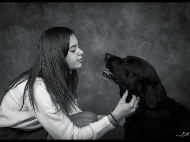 La séance photos canin en studio où la patience rime avec expérience